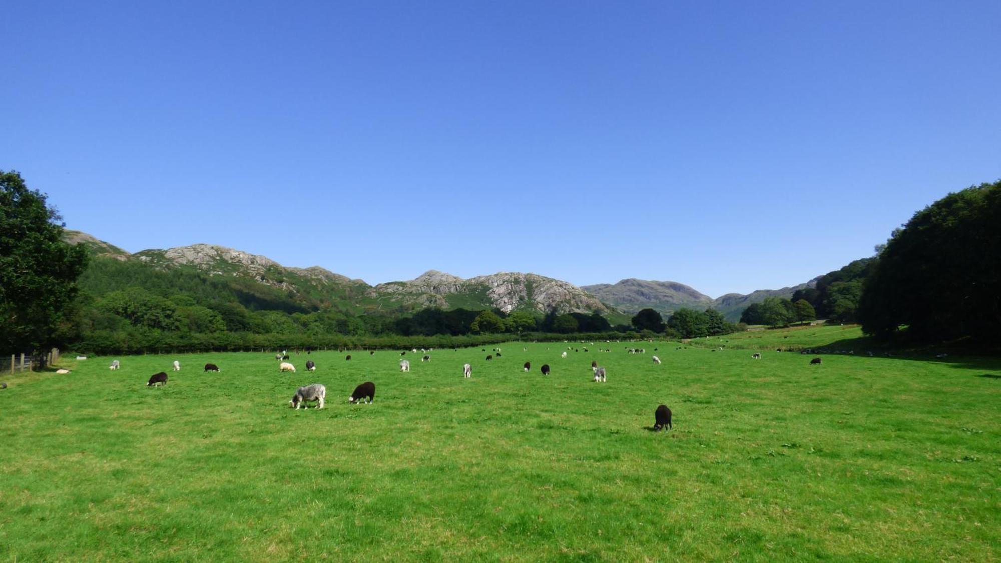 Renovated 5 Bedroom Farmhouse In Picturesque Eskdale, Lake District Exterior foto