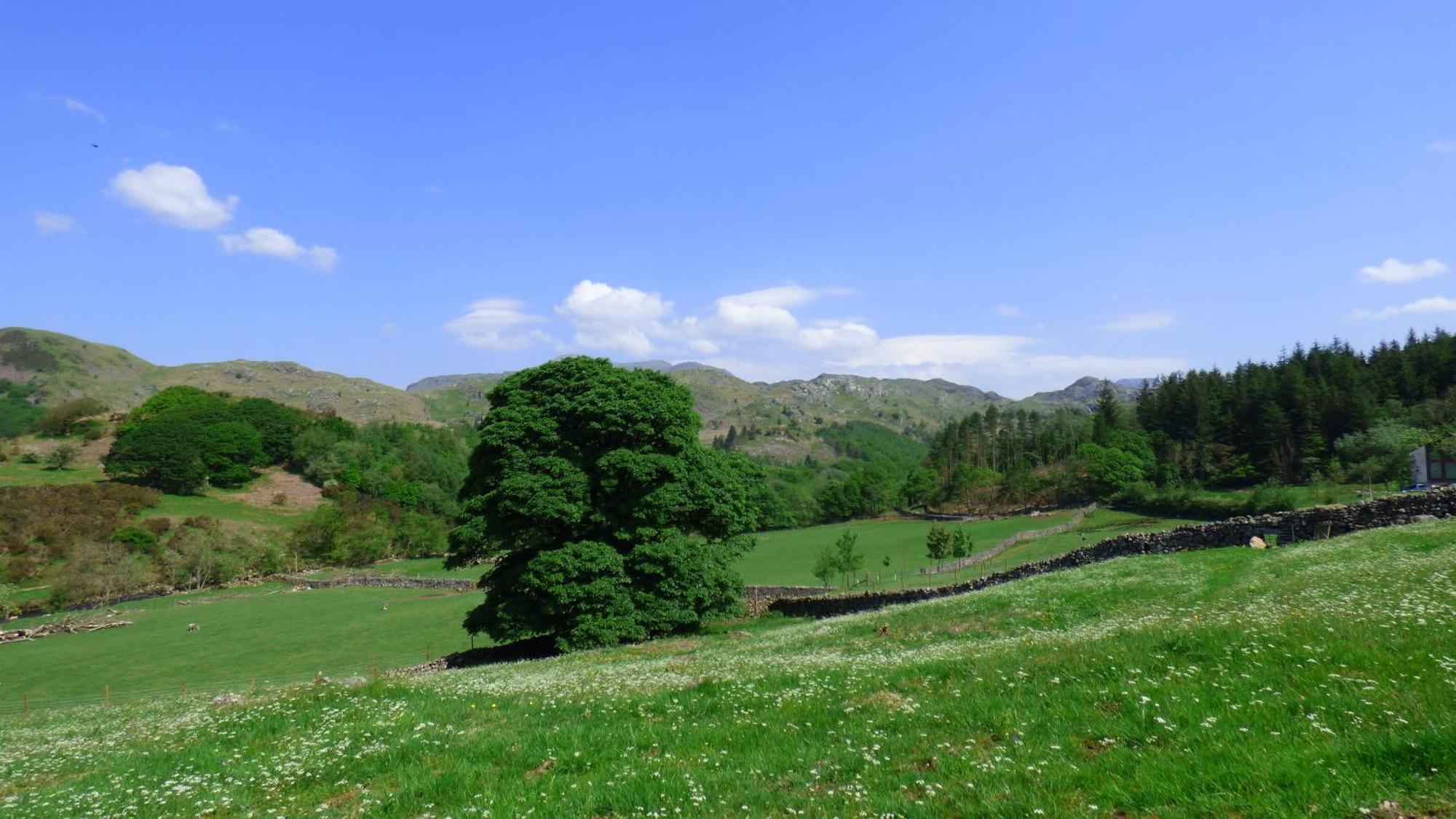 Renovated 5 Bedroom Farmhouse In Picturesque Eskdale, Lake District Exterior foto